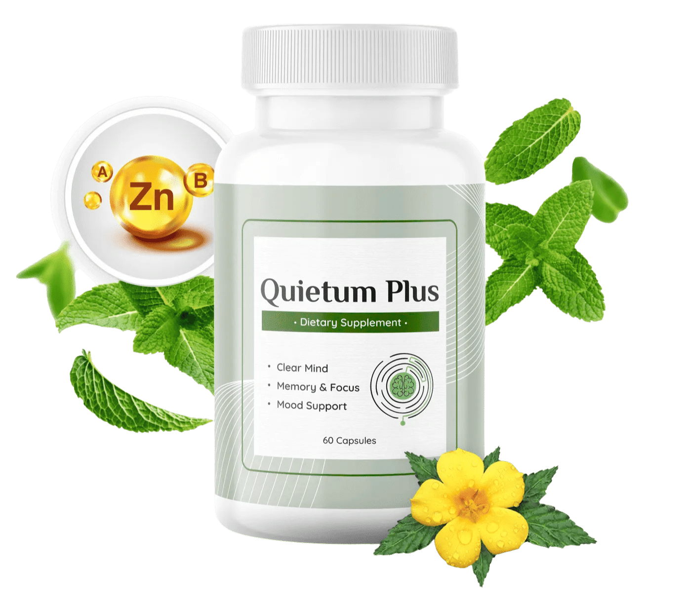 Quietum-Plus