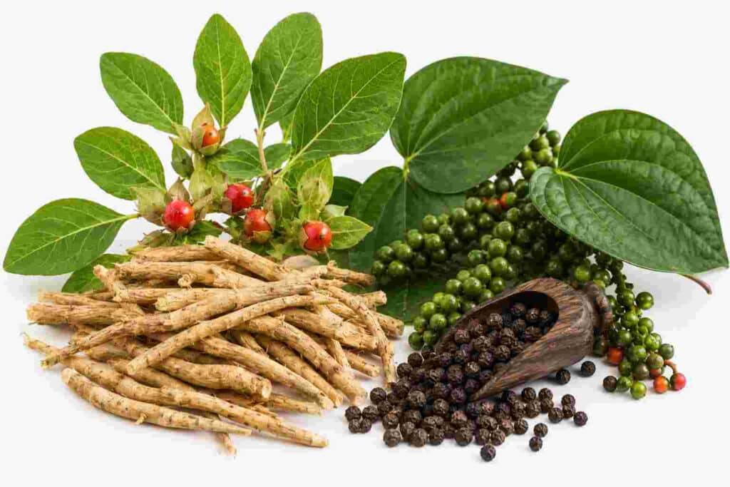 Ashwagandha roots